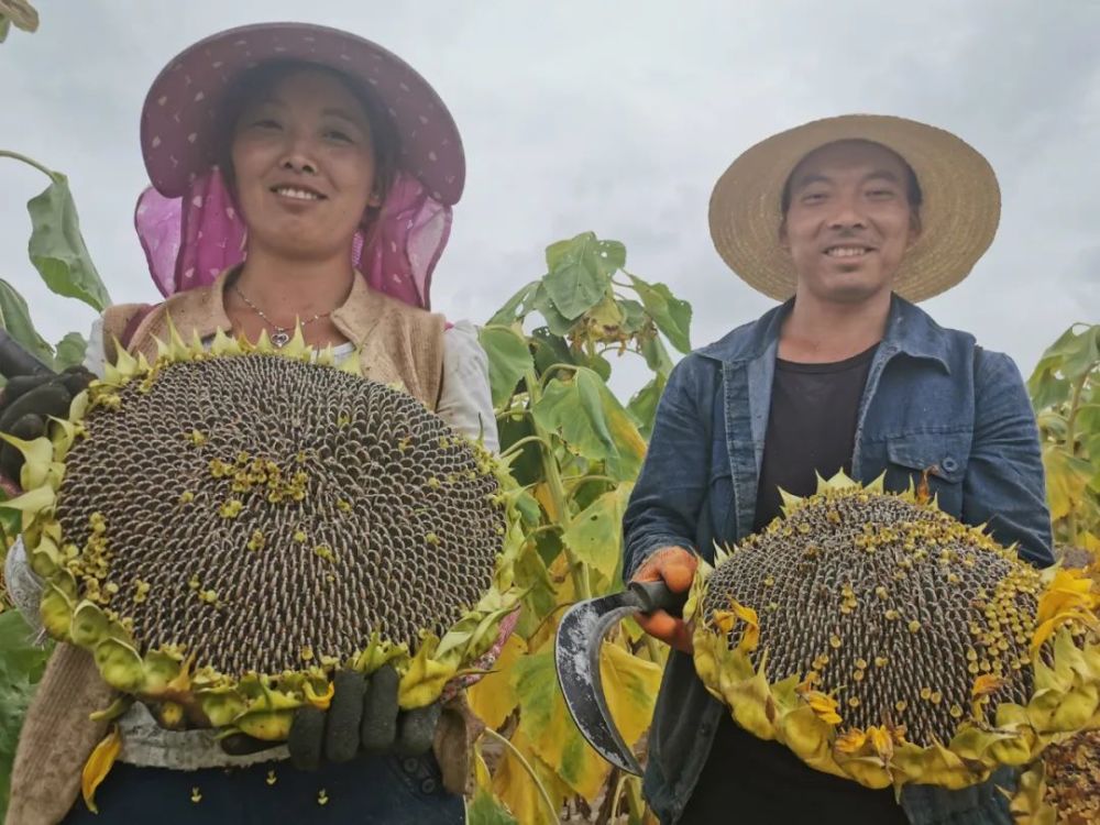 热点生活 第62页