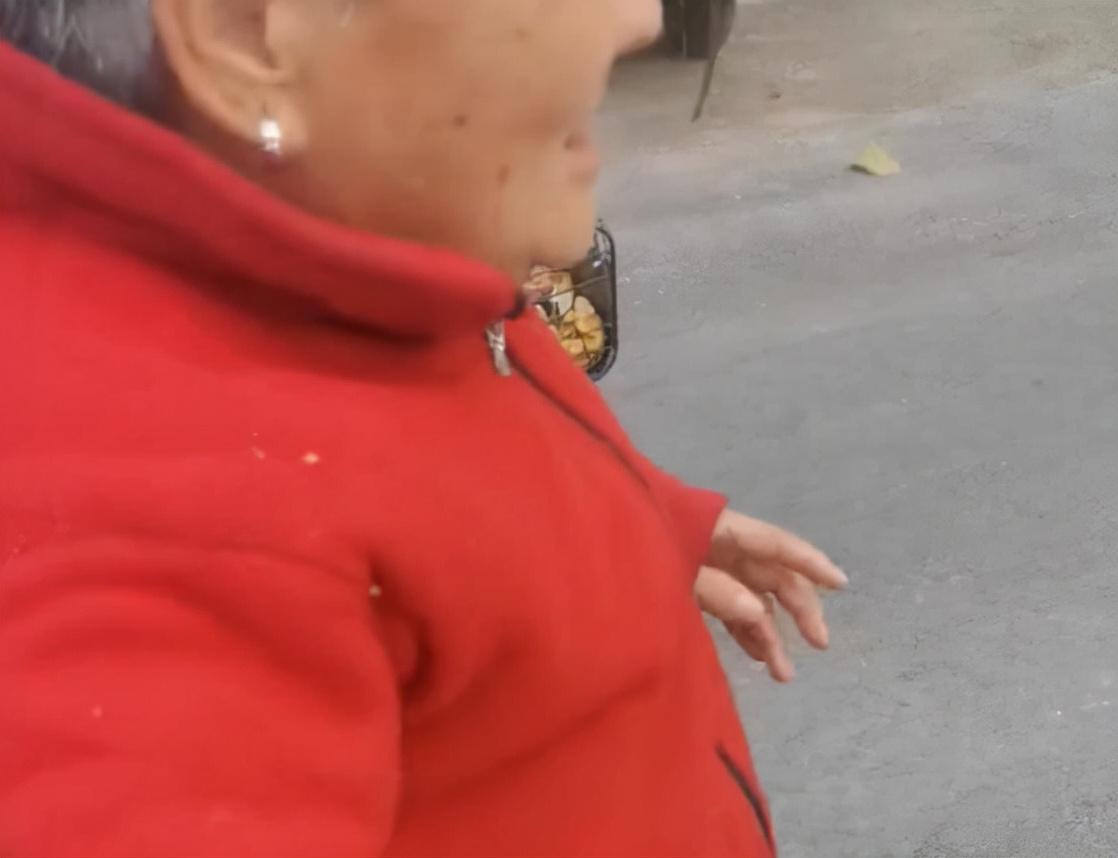 游戏专题 第61页