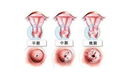 娱乐生活 第10页