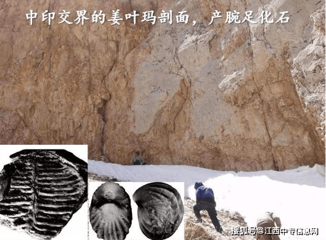 中专生逆袭中科院士中专生逆袭中科院士，奋斗与智慧的完美结合