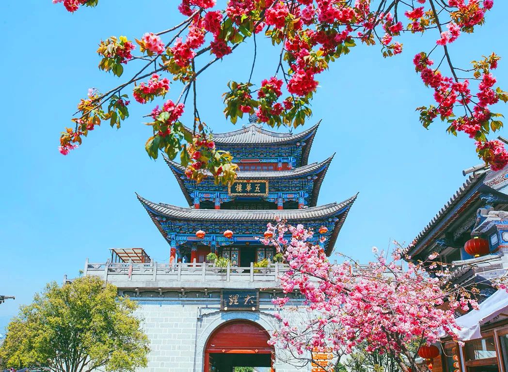 大理整治“采菌游”大理整治采菌游，守护自然生态，共创和谐旅游环境